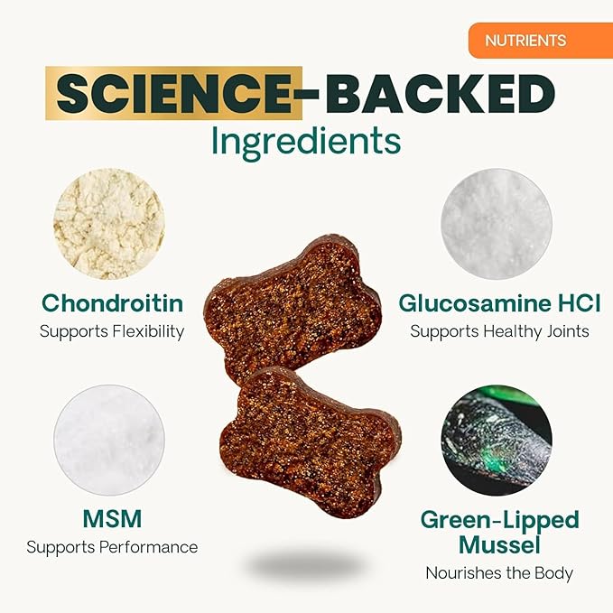 VetriScience Extra Strength Healthy Hip & Joint Chews, GlycoFlex 3, Glucosamine, Green-Lipped Mussel, Joint Support Supplement for Dogs, Promote Mobility & Soothe Joint Discomfort, Chicken, 120 Count