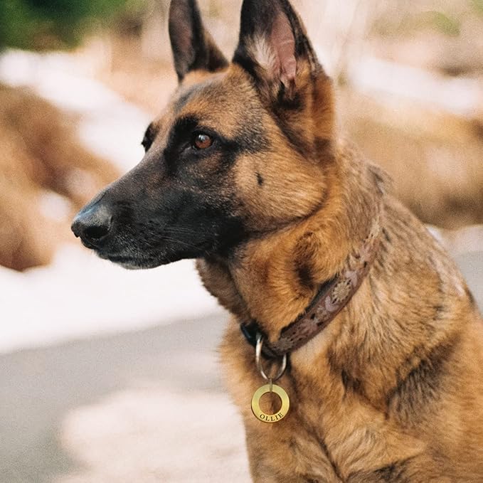 Dogs ID Tags Personalized Double Sided Deep Engraved Cat & Dog Collar Charm Ring Shape Brass Large