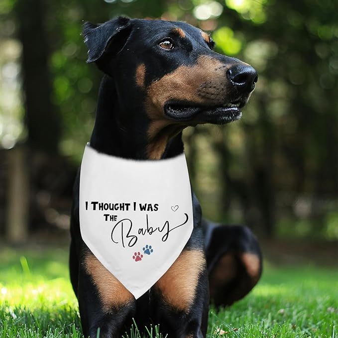 I Thought I was The Baby Pregnancy Announcement Dogs Bandana White Triangle Scarf Dog Bandana Baby Announcement Photo Prop Pet Scarf Accessories for Pet Dog Lovers Gifts