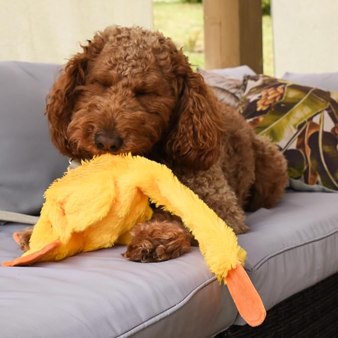 FGA MARKETPLACE Duck Flat NO Stuffing NO Squeak Plush Dog Toy, Funny Style Will Entertain Your Pet for Hours, Recommended for Small and Medium Dog 21 INCH Long