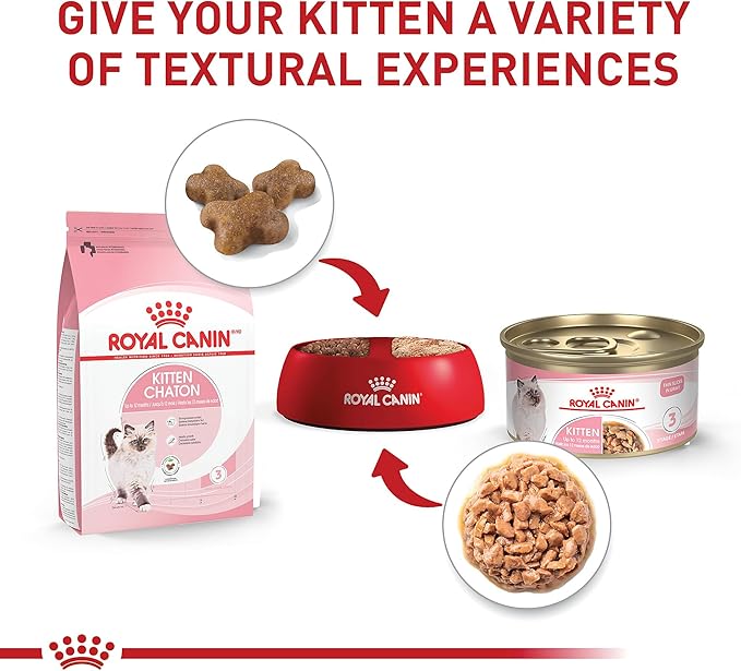 Royal Canin Feline Health Nutrition Kitten Thin Slices in Gravy Cat Food, 3 oz (Pack of 24)