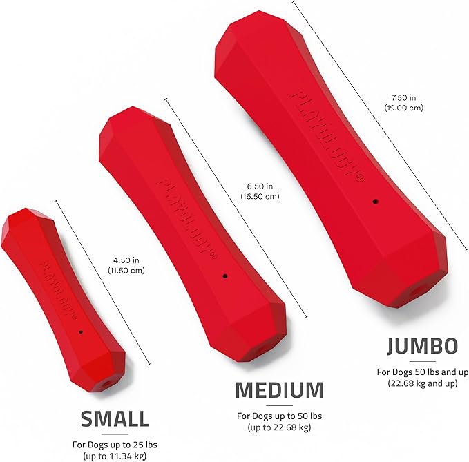 Playology Squeaky Dog Toy Fetch Stick | Durable Rubber Toys for Interactive Play | Beef Scented Fetch Stick for Medium Dogs, Value 2-Pack | Floating Dog Toy Made from Non Toxic Materials