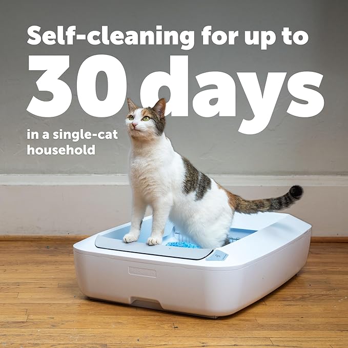 PetSafe ScoopFree Crystal Plus Automatic Self-Cleaning Cat Litter Box System – Not Enclosed – Advanced Odor Control – Includes 1 Disposable Crystal Litter Tray – White (PAL00-18016)