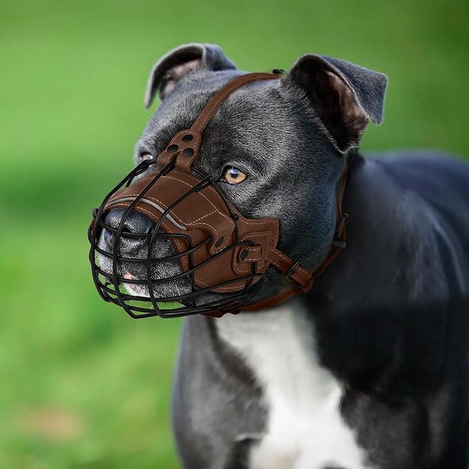 OOPSDOGGY Metal Pitbull Dog Muzzle Reflective Leather Mask Secure Wire Basket Muzzle for Large Dogs Brown, Pitbull