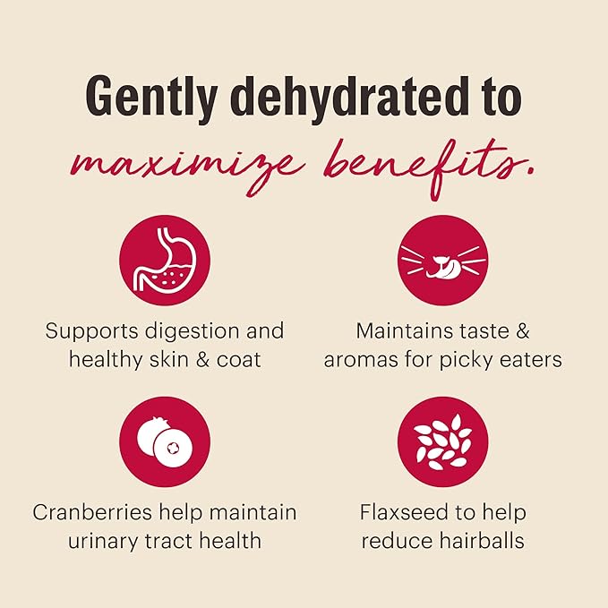 The Honest Kitchen Dehydrated Grain Free Turkey Cat Food, 4 lb Box