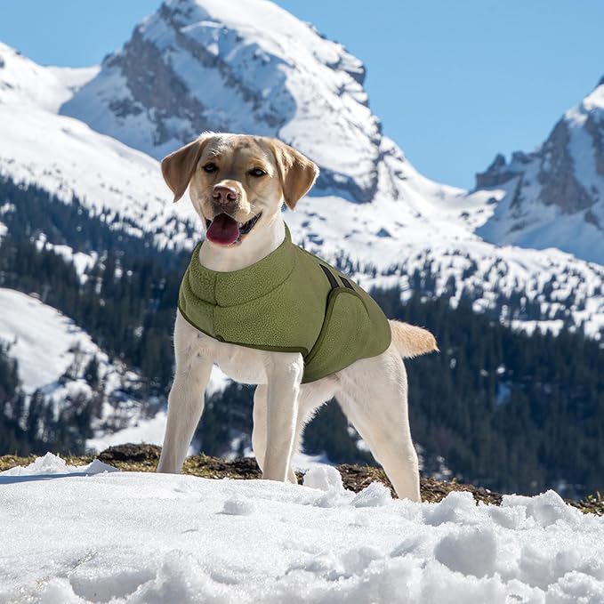 Queenmore XL Dog Sweaters, Soft Fleece Vest Pullover Dog Jacket with Leash Hole, Warm Winter Dogs Clothes Cold Weather Doggy Dachshund Sweater for Large Dogs Cats Boy or Girl (Army Green, XL)