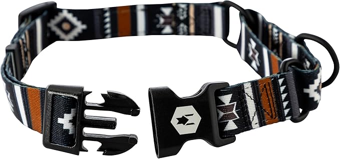 Wolfgang Heavy Duty Martingale Dog Collar with Quick Release Nylon Buckle for Walking & Training, NewMoon Print, Large