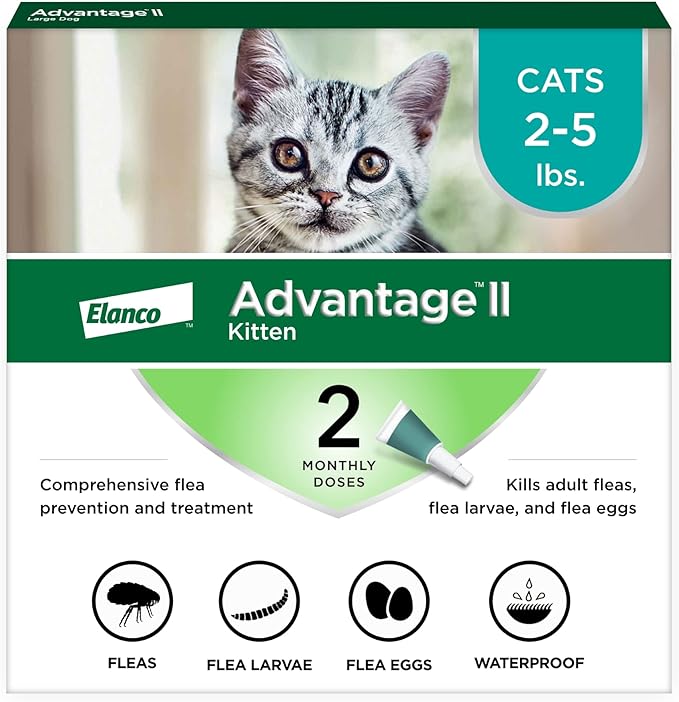 Advantage II Kitten Vet-Recommended Flea Treatment & Prevention | Cats 2-5 lbs. | 2-Month Supply