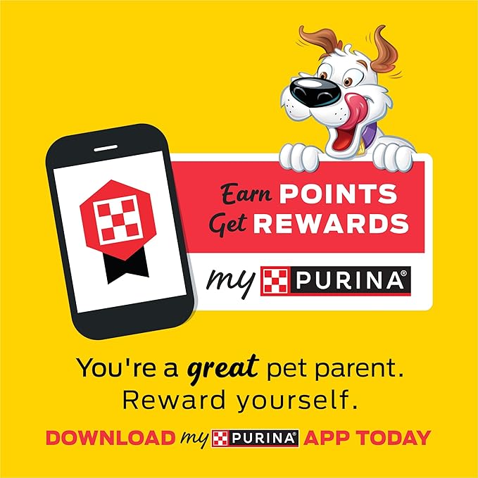 Purina Beggin' Strips Real Meat Dog Treats, Thick Cut Hickory Smoke Flavor - (Pack of 2) 26 oz. Pouches