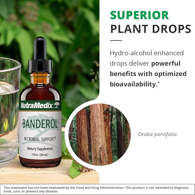 NutraMedix Daily Immune Support Supplement - Banderol Herbal Supplements for Immune System Support - Vegan Tincture - Bioavailable Otoba Bark Extract Liquid Drops (1 oz/30 ml)