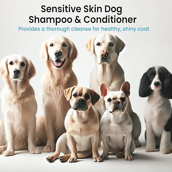Dog Shampoo and Conditioner Set for Itchy Skin, Allergies & Odor – 2-in-1 Calming Formula with Lavender, Rosemary & Biotin – Moisturizing & Detangling – Safe for Puppies & All Breeds – 16 oz x 2