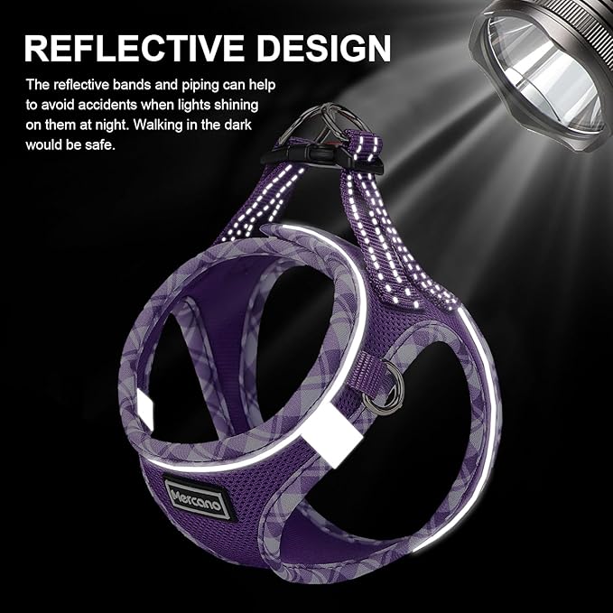 Mercano Soft Mesh Dog Harness and Leash Set, No-Chock Step-in Reflective Breathable Lightweight Easy Walk Vest Harnesses with Safety Buckle for Small Dogs, Cats (L, Purple)