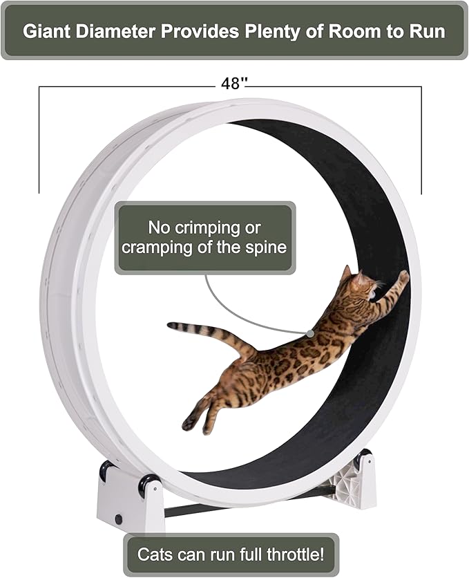 One Fast Cat - Cat Exercise Wheel - Gen. 7 - Safe 48" Diameter - Made in The USA - White Wheel with Black Felt Traction Pads and Light-Up LED Inline Wheels
