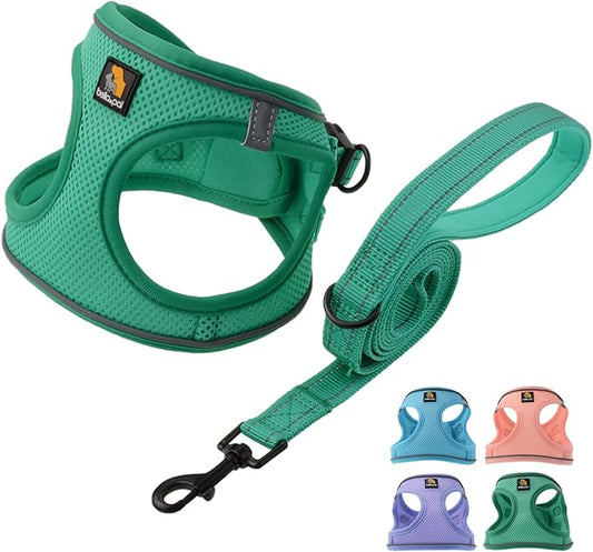 BELLA & PAL Step in Vest Harness for Small and Medium Dogs, No Pull Small Dog Harness with Leash Set, Comfortable Air Mesh Dog Vest Harness with Reflective Strip (Emerald, XS)