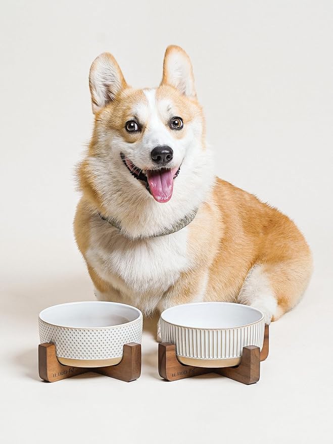LE TAUCI PET Ceramic Dog Bowls for Medium Small Dogs - 4 Cup Medium Dog Food and Water Bowls with Wood Stand, Cute Pet Dishes Set of 2, Lines+Dot