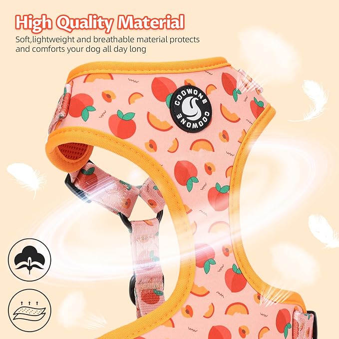 Dog Harness and Leash Set, Adjustable Dog Harness, Dog Leash, No Pull No Choke Puppy Harnesses for Walking Training for Small Medium Pet