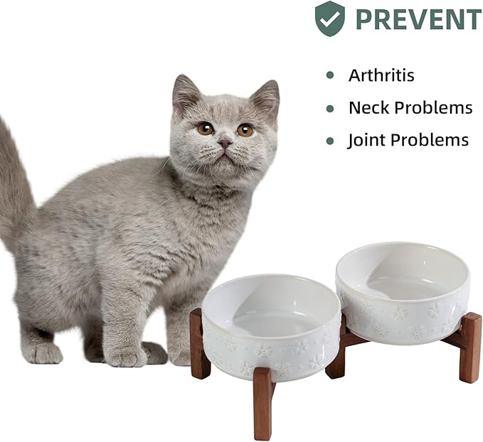 Ceramic 5.1inch Raised Double Bowls Set with Acacia Wood Stand, 2 Heights Elevated, Food & Water Bowls for Puppy, Kitty, Cats(13.5oz, Arctic White)