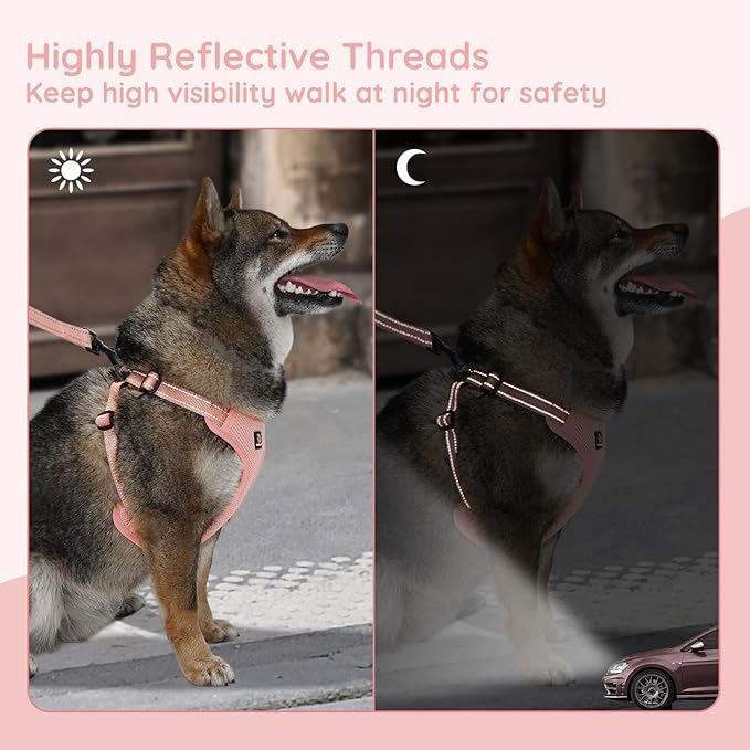 BELLA & PAL Adjustable Step-in Dog Harness, Puppy No-Pull Vest with Leash Set for XS/Small & Medium Dog, Breathable All-Weather Mesh, Reflective Strip, Secure Hook & Loop, Buckle Closure, Dual D-Rings