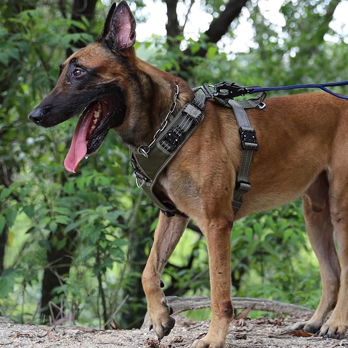 ICEFANG Dog Strap Harness with 4 x Metal Buckles,for Large Sized Dog,K9 Vest,Y-Shape Chest,Adjustable Pet Harness,No-Pull Front Leash Clip (Large (Pack of 1), Green)