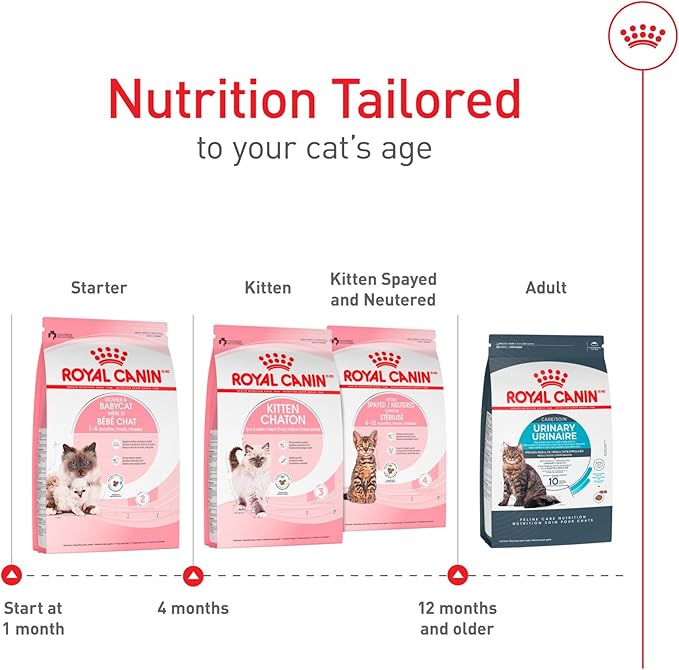 Royal Canin Feline Health Nutrition Mother & Babycat Dry Cat Food for Newborn Kittens and Pregnant or Nursing Cats, 6 lb bag