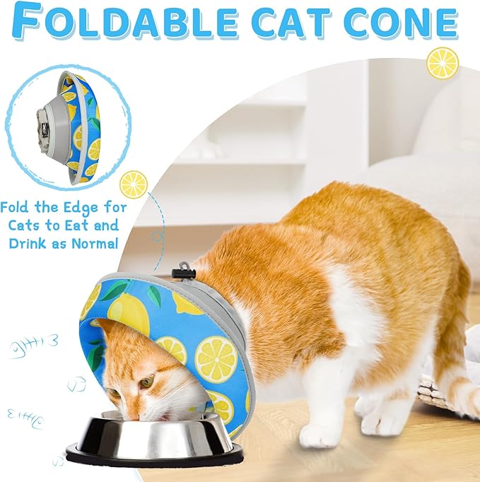 Cat Cone Collar Soft to Stop Licking, Adjustable, Foldable Lightweight Kitten Cones After Surgery Recovery for Cats & Kittens, Cat Cone Alternative (Royal Blue, S)