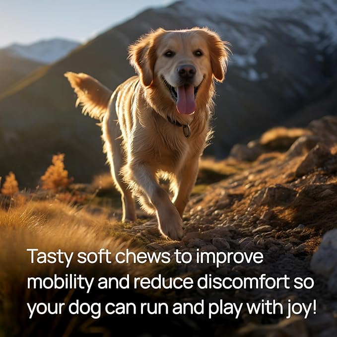 pawTree Joint & Hip Support Supplement for Dogs & Cats with Glucosamine, Chondroitin, MSM, Tumeric & Green Lipped Mussels - Vitamins & Health Essentials - All-Natural Mobility Soft Chews