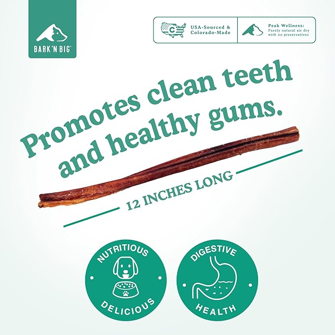 BARK'N BIG 12 Inch Odor Free Bully Sticks for Dogs Made in USA - Single Ingredient Dog Chew - Premium Pizzle Sticks - Beef Pizzles for Large Breeds - 8 Count