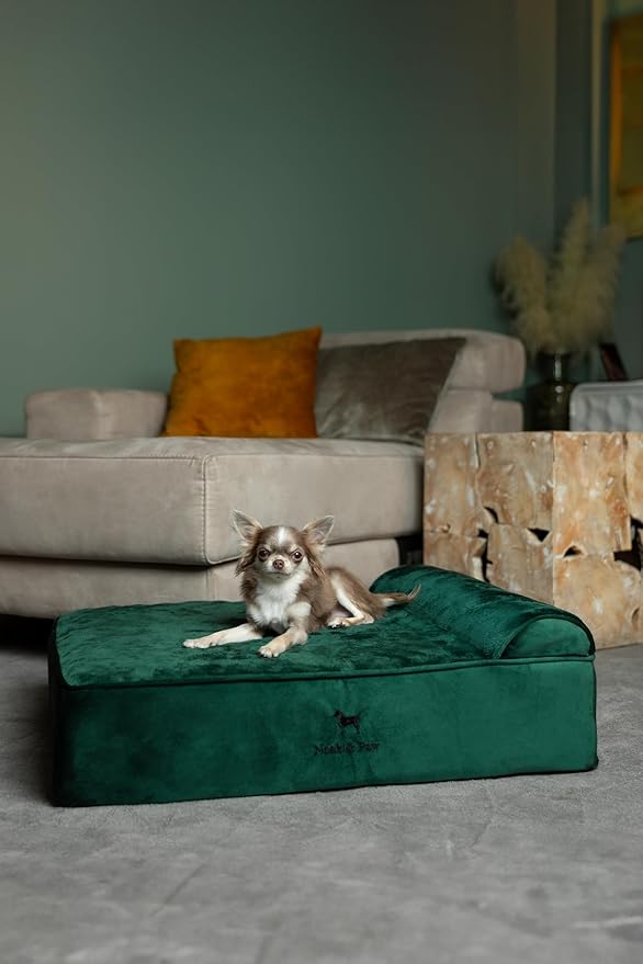 NOAH & PAW Dog Bed, 28x23x7.5 Inch, Orthopedic Dog Beds for Medium Size Pets, Eggshell Memory Foam Infused with Cooling Gel, Waterproof, Machine Washable, Includes Inner Cover (Velvet Collection)