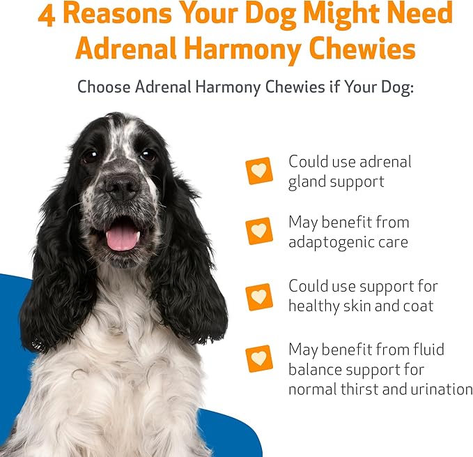 Pet Wellbeing Adrenal Harmony Chewies for Dogs - Vet-Formulated - Dog Adrenal Support, Cortisol Balance, Ashwagandha, Bacopa - Herbal Supplement (90 Soft Chews)