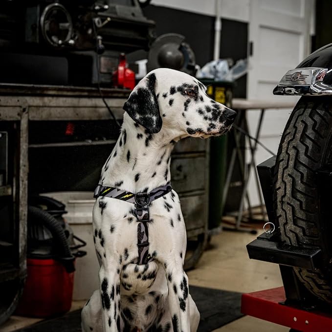 Wolfgang Heavy Duty Adjustable Dog Harness, Pull-Tested to Over 800 lbs for Walking & Training, DarkSkies Print, Large