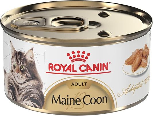 Royal Canin Feline Breed Nutrition Maine Coon Adult Thin Slices in Gravy Cat Food, 3 oz (Pack of 24)