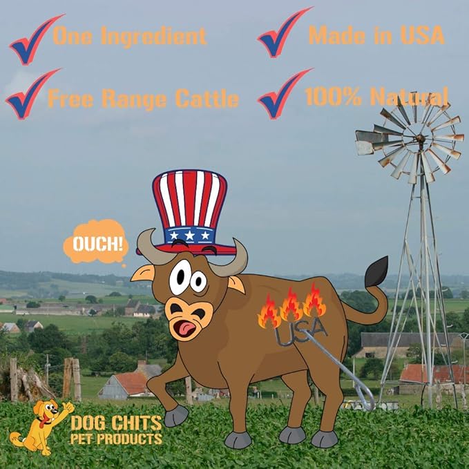 Dog Chits Beef Liver-Premium Cuts | Dog and Puppy Chews | Made in USA, Grass Fed Beef | All-Natural Quality Treats | Easily to Break (Training) | Large and Small Breeds | Irresistible Liver |10 oz.