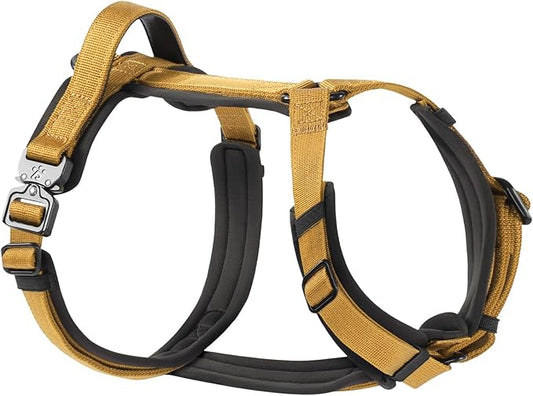 PawsPassion Dog Harness for Medium Dogs, No Pull Dog Harness Easy Walk with Metal Hardware, Ergonomic Y-Shaped Design, Soft Padding, Padded Handle, Durable High-Tensile Nylon (Sunrise, M)