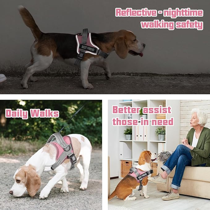 AUROTH Dog Harness No Pull Soft Padded Service Dog Vest, No Choke, Easy On Pet Vest with Handle, Adjustable Reflective Dog Harness for Small, Medium and Large Dogs, Easy Walking and Training