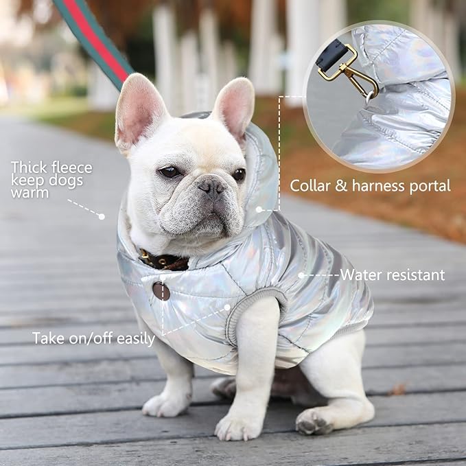Windproof Waterproof Dog Coat Fleece & Cotton Lined Warm Jacket, Cold Weather Pet Apparel Clothes Vest for Small Medium Large Dog (S, Silver)