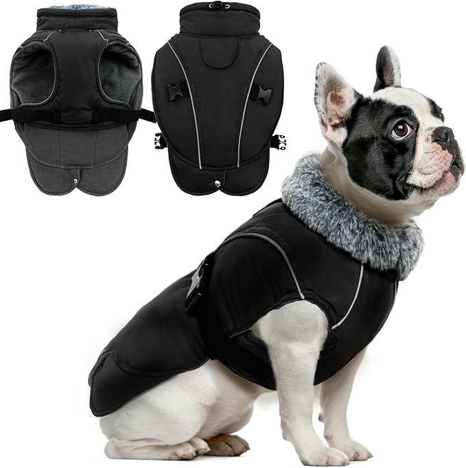 DENTRUN Medium Dog Winter Jacket - Warm Reflective Windproof Coat, Adjustable Neck & Snap Closure, Water Repellent Thick Fleece Vest, Fleece Lined for Beagle Pug, Black, M