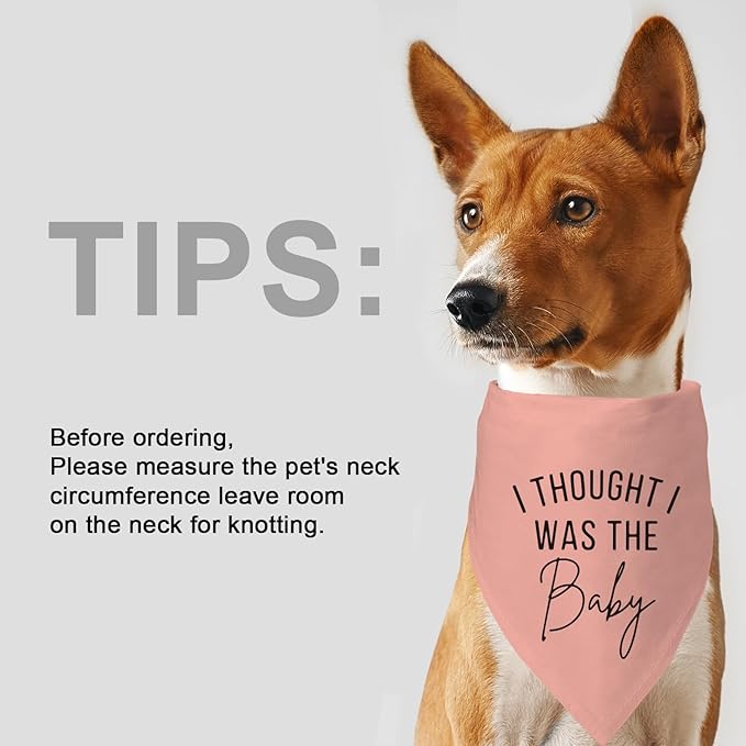 2 Pack Dog Bandanas for Pregnancy Announcement, Cute Adjustable Pet Bandana Scarf for Small Medium Large Dogs, Gender Reveal Puppy Accessories, Soft Breathable Fabric for Puppy Cats(Blue&Pink)
