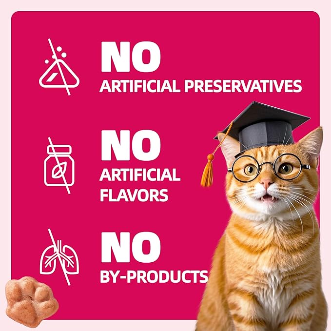 Wellix 13.5 oz Urinary Cat Treats for Indoor Cats Cranberry Flavor - Chicken Formula Kitten Training Snacks - Support Kidney Bladder & Urinary Health Cat Biscuits