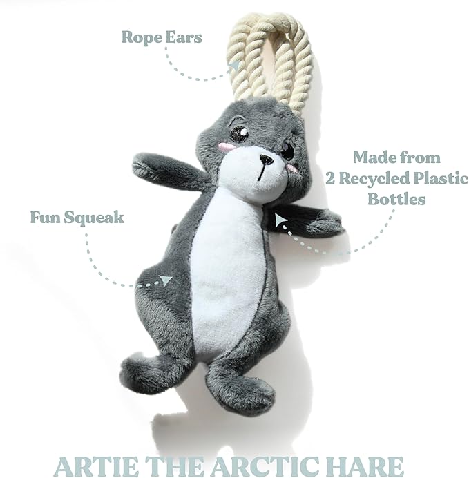 Dog Toys | Plush Toy Arctic Hare Stuffed Animal for Dogs | Small Eco Friendly Toy - Easy to Clean and Made from Non Toxic Materials