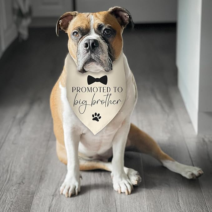 Promoted to Big Brother Baby Announcement Dog Bandana Gender Reveal Gift Pregnancy Announcement Photo Prop for Dog Lover Pet Scarf Accessories for Small Medium Large Dog