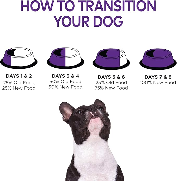 Wellness Complete Health Senior Dry Dog Food, Small Breed, Wholesome Grains, Natural, Age Advantage Turkey & Peas Recipe, (4-Pound Bag)