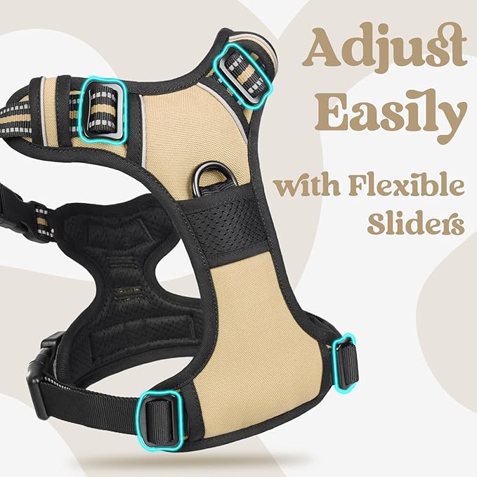 rabbitgoo Dog Harness Small Sized, No Pull Pet Harness with 3 Buckles, Adjustable Soft Padded Vest with Control Handle, Walking Reflective Pet Vest for Small Dogs, Beige, S