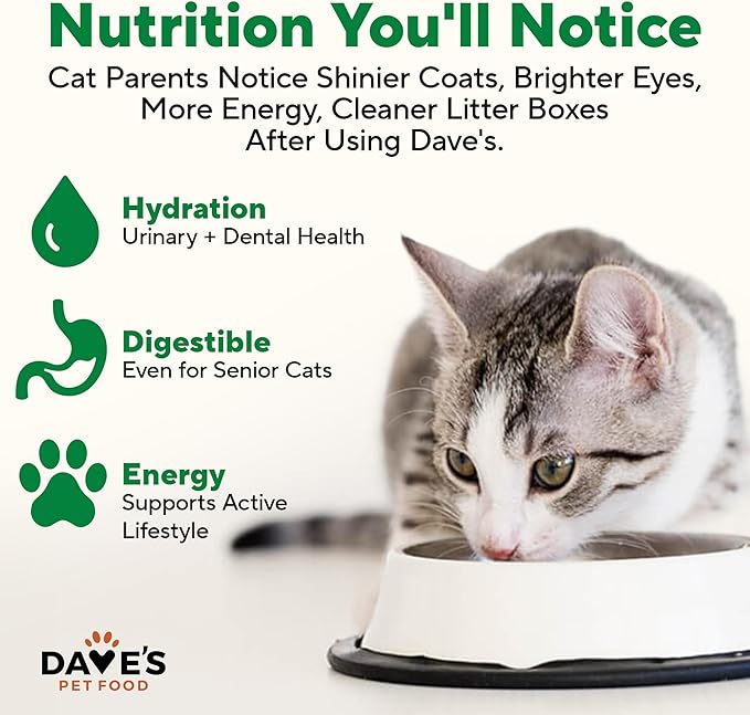 Dave's Pet Food Grain Free Wet Cat Food Pate (Chicken), Made in USA Naturally Healthy, Economy Size, Multi-Cat Families, Canned, 22 oz Cans (12 Pack)