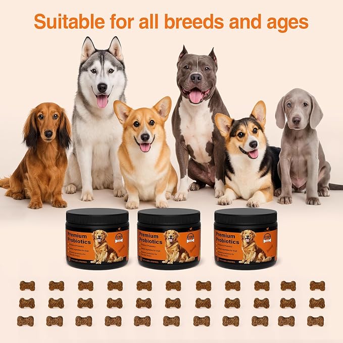 Premium Probiotics for Dogs with Digestive Enzymes & Fiber | Duck Flavor Soft Chews for Itchy Skin, Ear Health, Gut & Immune Support (Duck)