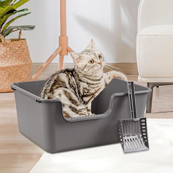 Bringer 4-Pack Plastic High Side Cat Litter Box, Large Open Top Cat Litter Box, Gray, 19.69 x 15.24 x 8.46 Inches