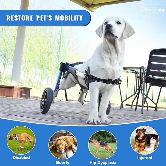 Dog Wheelchair for Back Legs with Upgraded All-Terrain Tires & Durable Bearings,Adjustable Dog Wheelchair for 9"-13.7",11-22 lbs Disabled or Injured Small Dogs