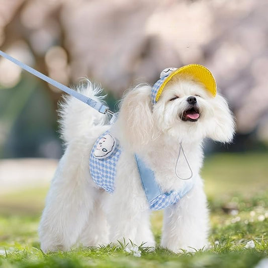 Cat Puppy Costume Leash Harness Baseball Cap 3PCs Set Cute Pet Accessories Multiple Sizes for Cat Small Dog (Blue Leash+Harness+Cap 3pcs,Small)