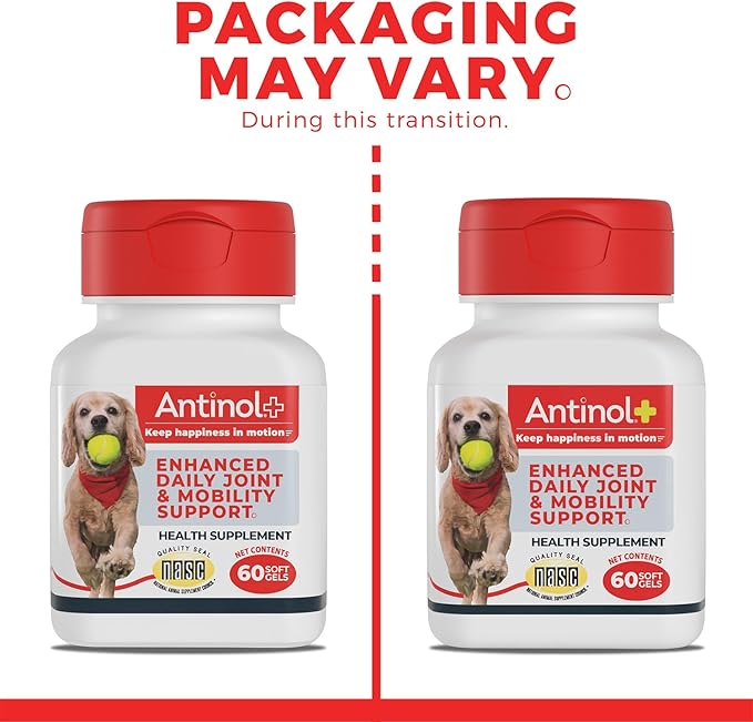 Antinol Plus, Mobility, Hip, and Joint Supplement for Dogs, Green-Lipped Mussels and Krill Oil - Dog Joint Supplement, Better and Faster Than Glucosamine and Chondroitin, 60 Soft Gels