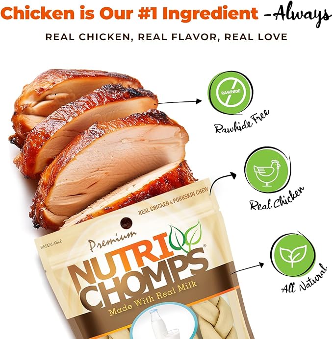 NutriChomps Dog Chews, 6-inch Braids, Easy to Digest, Long Lasting, Rawhide-Free Dog Treats, Healthy, 4 Count, Real Milk flavor