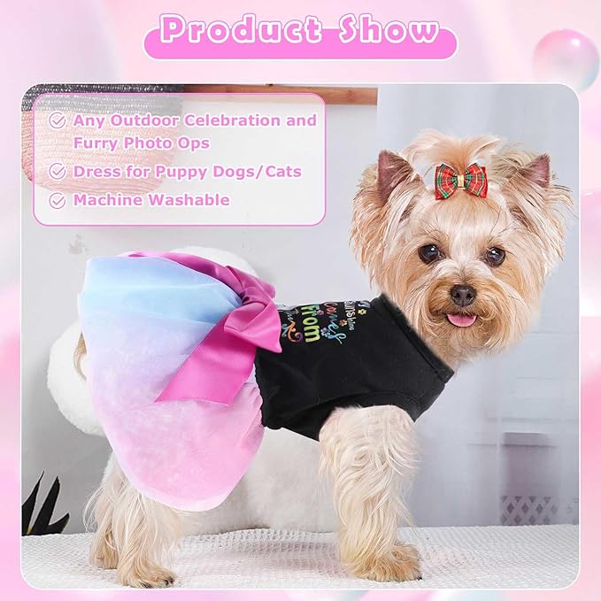 Dog Clothes for Small Dogs Girl, Spring Pet Dress Puppy Princess Tutu Cute Puppy Tulle Dresses Pet Clothes Cat Apparel Chihuahua Yorkshire Outfits (Daisy, M)